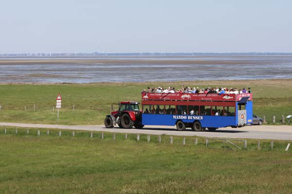 sommer2011 084